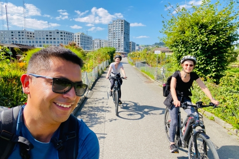 Excursión en e-bici por la Península del Lago de los Cuatro Cantones