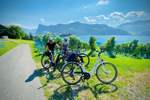 Tour en e-bike de la péninsule du lac des Quatre-CantonsTour de la péninsule du lac des Quatre-Cantons en e-bike
