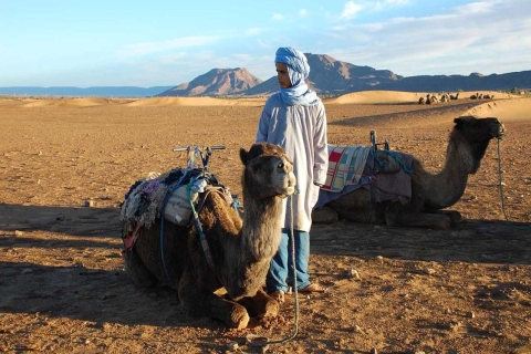 From Marrakech: Camel Ride & Hiking Tour in Atlas Mountains