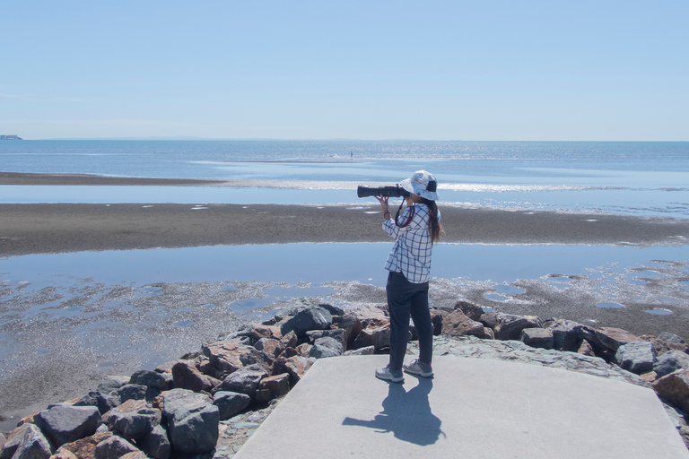 Brisbane: Kangaroos, Birds and Mangroves Coastal Tour Brisbane: Kangaroos, Birds & Mangroves Coastal Private Tour