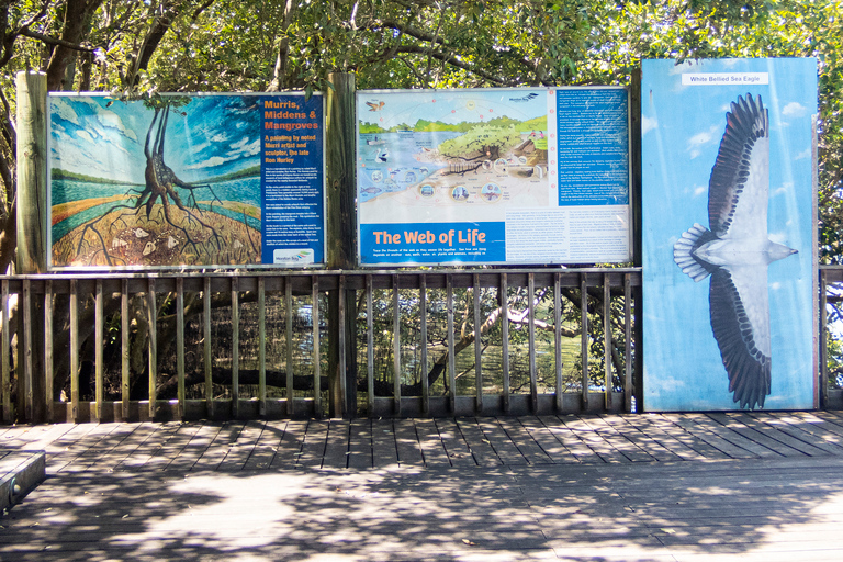 Brisbane: Kangaroos, Birds and Mangroves Coastal Tour Brisbane: Kangaroos, Birds & Mangroves Coastal Private Tour