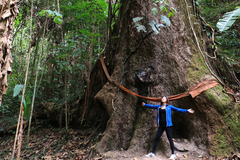 Wilde Gibbons, Trekking en Sightseeing in Mae Kampong