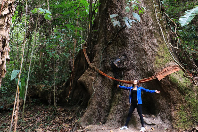 Chiang Mai: Gibbons, Trekking &amp; Mae Kampong Smågruppsresa