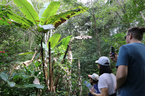 Wilde Gibbons, Trekking und Sightseeing in Mae Kampong