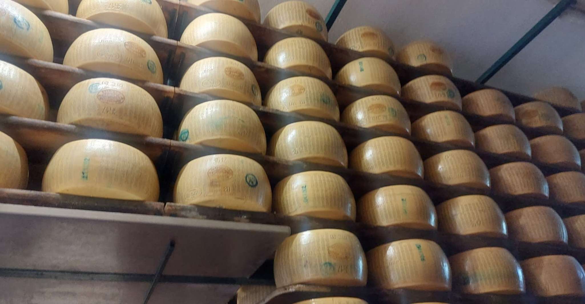 Rosola, Parmigiano Dairy Farm Visit with Cheese Tasting - Housity