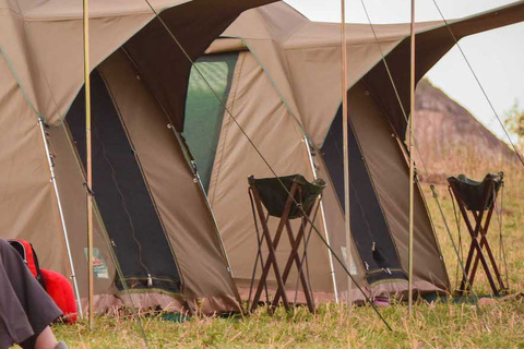 Arusha: Safari de 4 días en camping por el Serengeti y el Ngorongoro