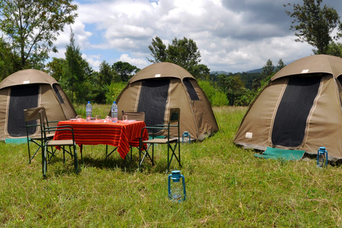 Arusha: 4-daagse Serengeti en Ngorongoro kampeersafari