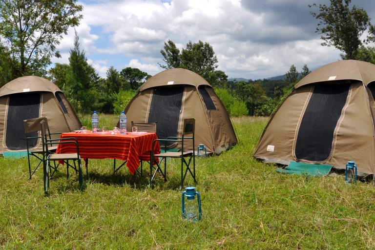 Arusha: 4-daagse Serengeti en Ngorongoro kampeersafari