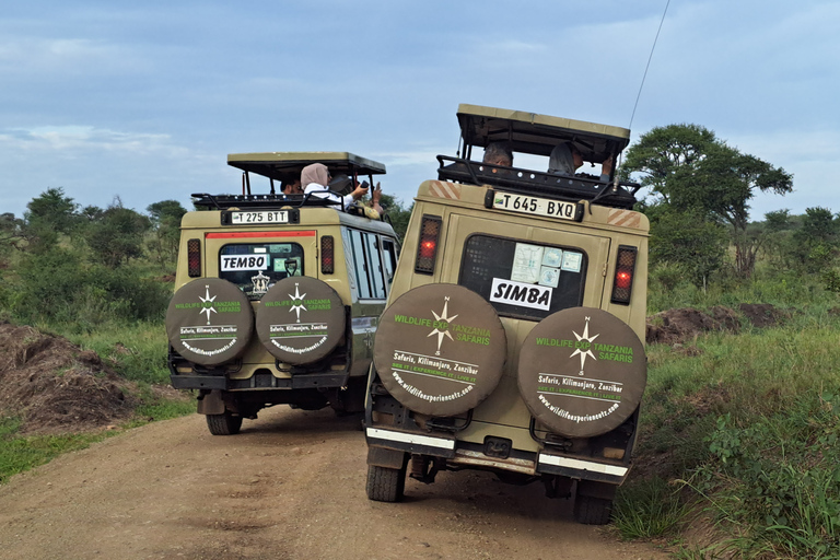 Arusha: 4-Day Serengeti and Ngorongoro Camping Safari