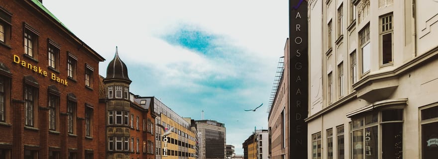 Aarhus : Promenade express avec un habitant en 60 minutes