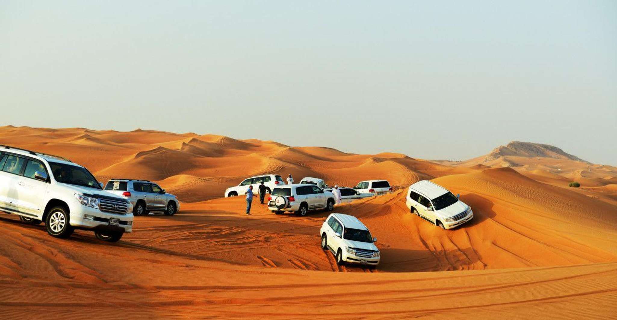 Doha, Desert Safari w/ Sand Boarding, Camel Ride, Inland sea - Housity