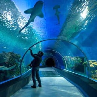 Hurghada: Grand Aquarium Guided Tour with Pickup