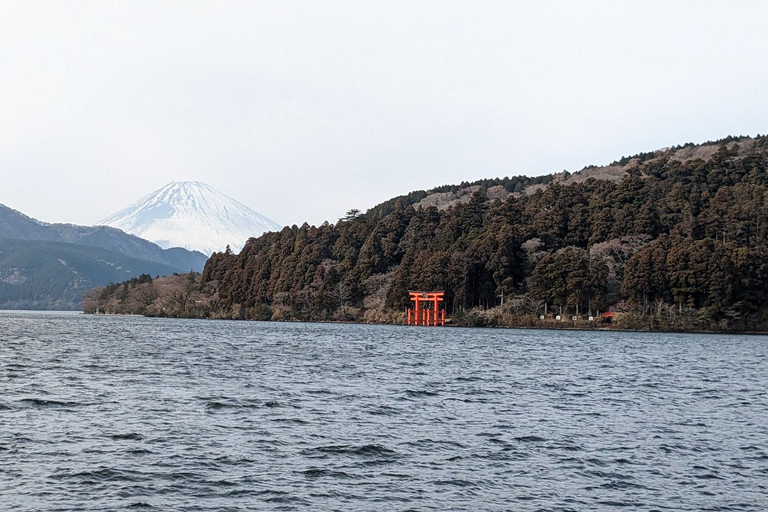 Depuis Tokyo : Excursion au Mont Fuji et à Hakone avec retour en train BulletRetour en train Bullet Shinkansen avec déjeuner inclus