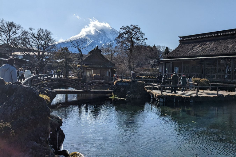 Depuis Tokyo : Excursion au Mont Fuji et à Hakone avec retour en train BulletRetour en train Bullet Shinkansen avec déjeuner inclus