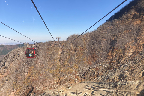 Depuis Tokyo : Excursion au Mont Fuji et à Hakone avec retour en train BulletRetour en train Bullet Shinkansen avec déjeuner inclus