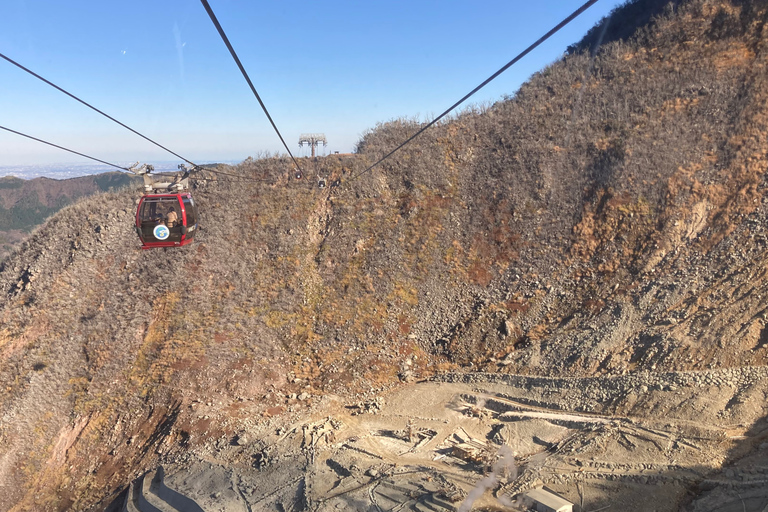 Depuis Tokyo : Excursion au Mont Fuji et à Hakone avec retour en train BulletRetour en train Bullet Shinkansen avec déjeuner inclus