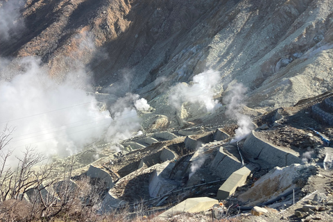 Depuis Tokyo : Excursion au Mont Fuji et à Hakone avec retour en train BulletRetour en train Bullet Shinkansen avec déjeuner inclus