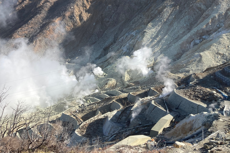 Depuis Tokyo : Excursion au Mont Fuji et à Hakone avec retour en train BulletRetour en train Bullet Shinkansen avec déjeuner inclus