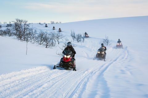 Alta : Safari guidé en motoneige sur le Finnmarksvidda avec des collations