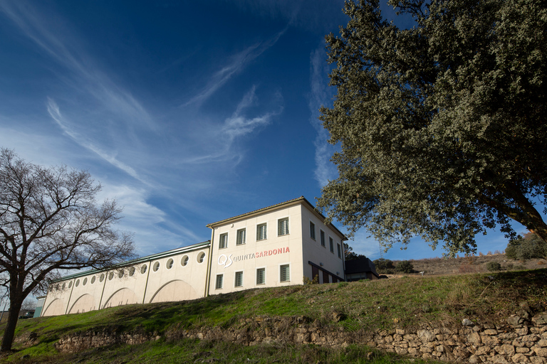 Patras: visita histórica a la bodega y degustaciónOpción estándar