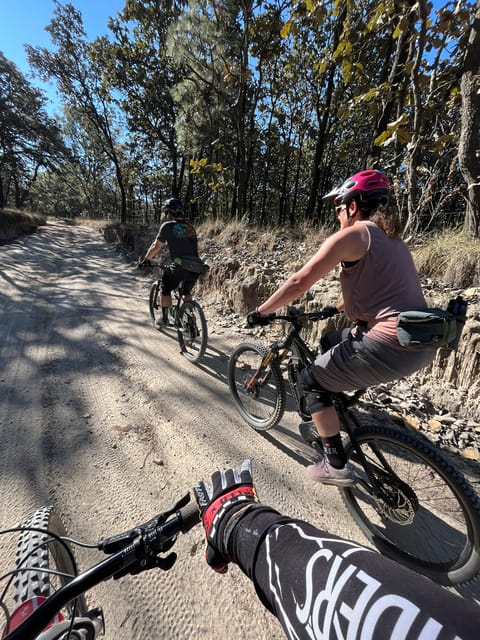 Guadalajara: La Primavera Forest 25-km Mountain Biking Tour