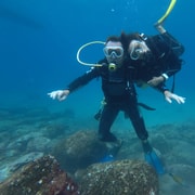 Tenerife: Try Dive in the Protected La Caleta Bay | GetYourGuide