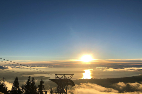 Vancouver: Tour guidato delle attrazioni al crepuscolo con cena