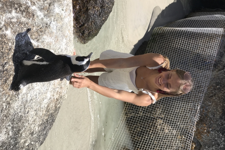 Touren ab Kapstadt: Pinguine & Kap der Guten Hoffnung Touren
