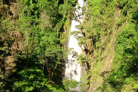 Moshi: Wycieczka z lunchem do wodospadu Materuni i na kawę