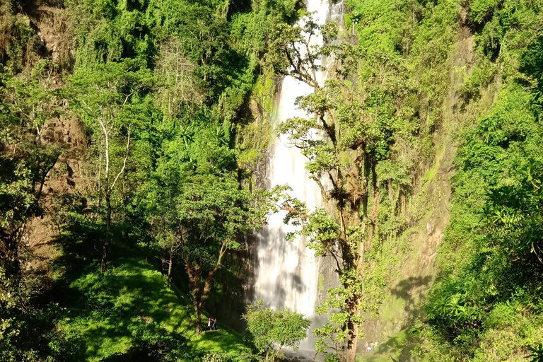 Moshi: Wycieczka z lunchem do wodospadu Materuni i na kawę