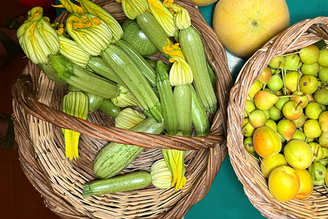 Local Experience: A Day at a Local Organic Olive Oil Farm