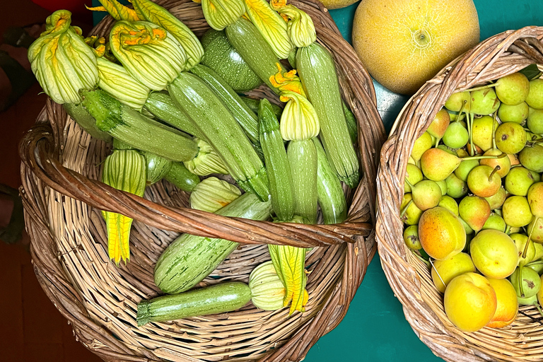 Local Experience: A Day at a Local Organic Olive Oil Farm