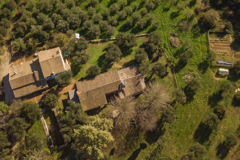 Corfù: tour della fattoria dell&#039;olio d&#039;oliva biologico con trasferimento e degustazione