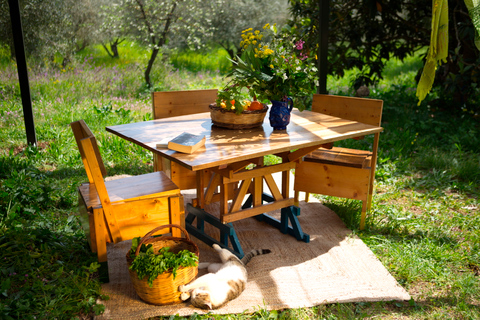 Expérience locale : Une journée dans une ferme d'huile d'olive biologique locale