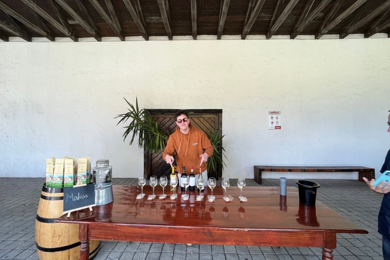 Santiago : Billet et visite d'Undurraga avec dégustation de vin
