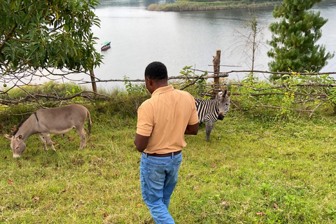 Uganda: 5-Day Best Of Kisoro Nature and Community Tour