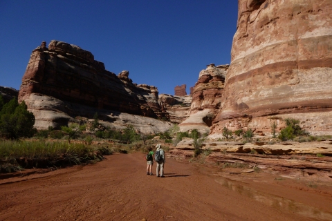 Ab Moab: 1-tägige Erkundung des Horseshoe Canyon