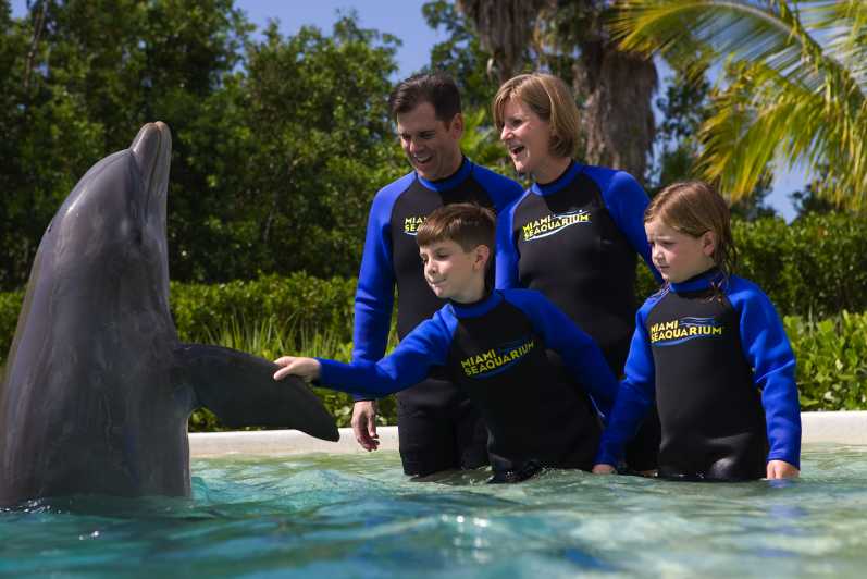 Майами: входной билет в океанариум со встречей с дельфинами