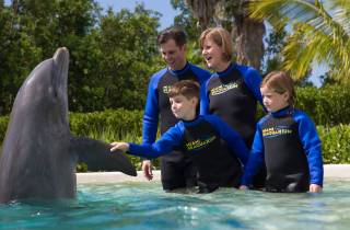 Miami: Seaquarium-Eintrittskarte mit Delfin-Begegnung
