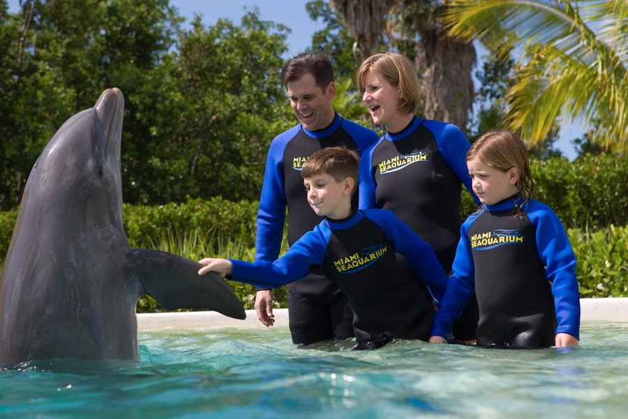 Miami: Seaquarium-Eintrittskarte mit Delfin-Begegnung. Foto: GetYourGuide