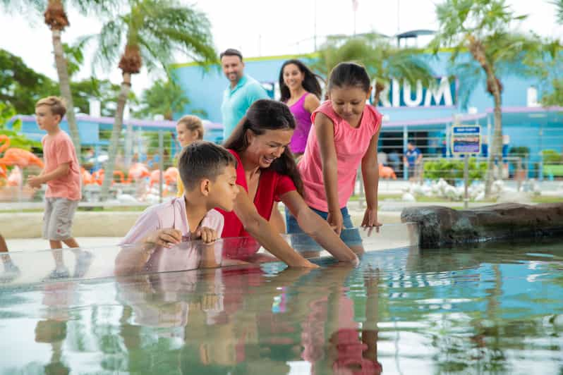 Miami Seaquarium - Attraction Ticket