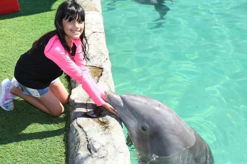 Dolphin Encounter - Miami Seaquarium