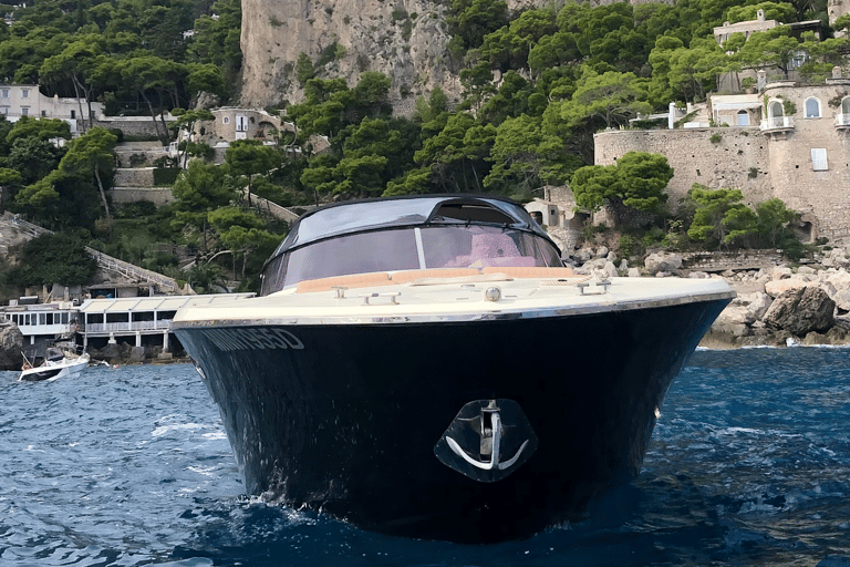 Desde Positano: Excursión privada de un día en barco por Capri