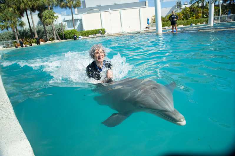 Miami Swim with Dolphin Tours and Tickets