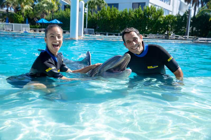 Miami: Experiencia de Nado con Delfines con Entrada al Seaquarium