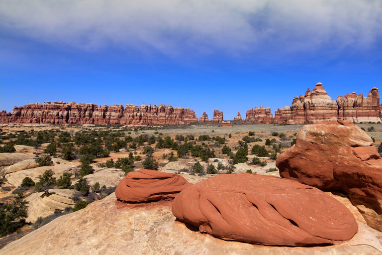 De Moab: visite en 4x4 du Canyonlands Needle District