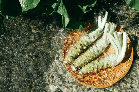 عروض خاصة لخريف ناغانو: كاميكوتشي ومزرعة ومصنع النبيذ واسابيرحلة ليوم واحد إلى كاميكوتشي الجبلية +