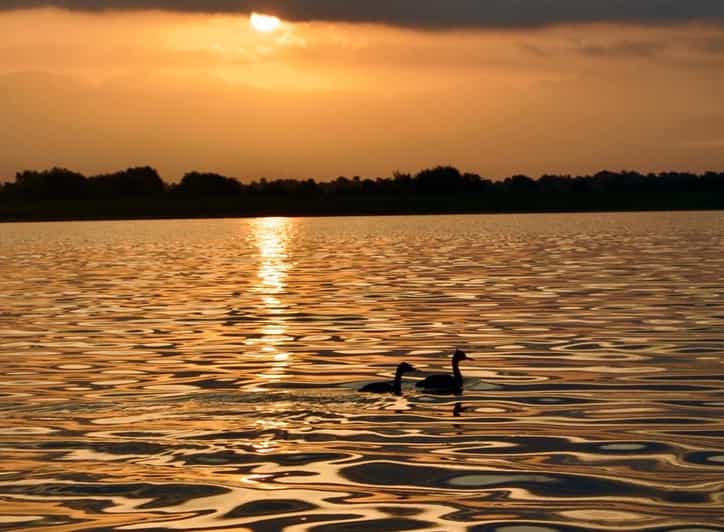 Virpazar Excursion en kayak sur le lac Skadar GetYourGuide