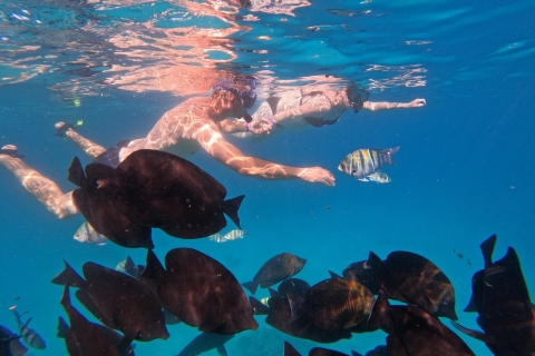Depuis Hurghada : croisière à Sahl Hasheesh et snorkeling