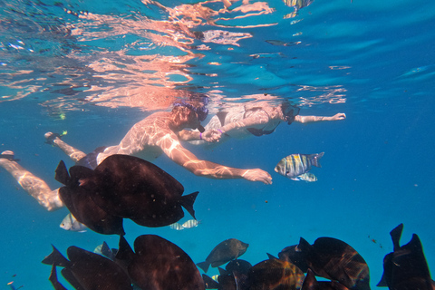 From Hurghada: Sahl Hasheesh Boat Trip with Snorkeling From Hurghada: Sahl Hasheesh Private Boat Trip & Snorkeling